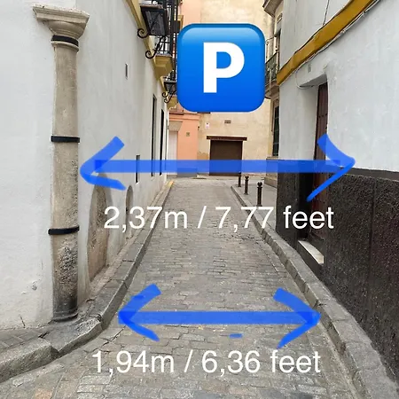 Palacete Molina Apartment