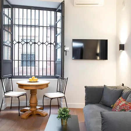 Palacete Molina Apartment *